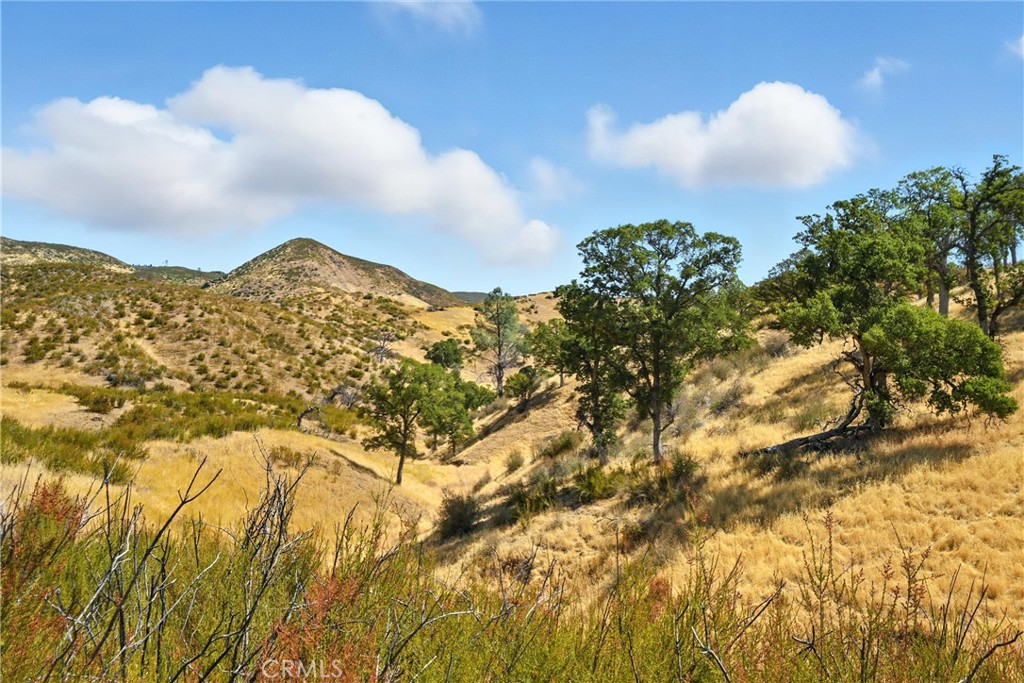 26648 Jerusalem Grade Property Photo 10