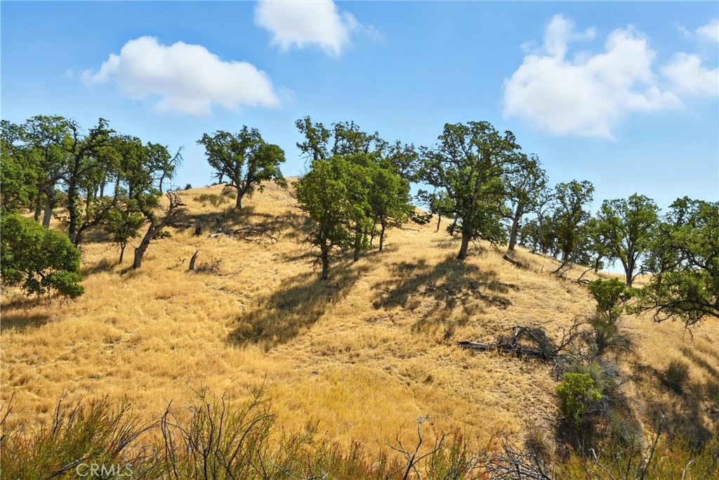 26648 Jerusalem Grade Property Photo 11