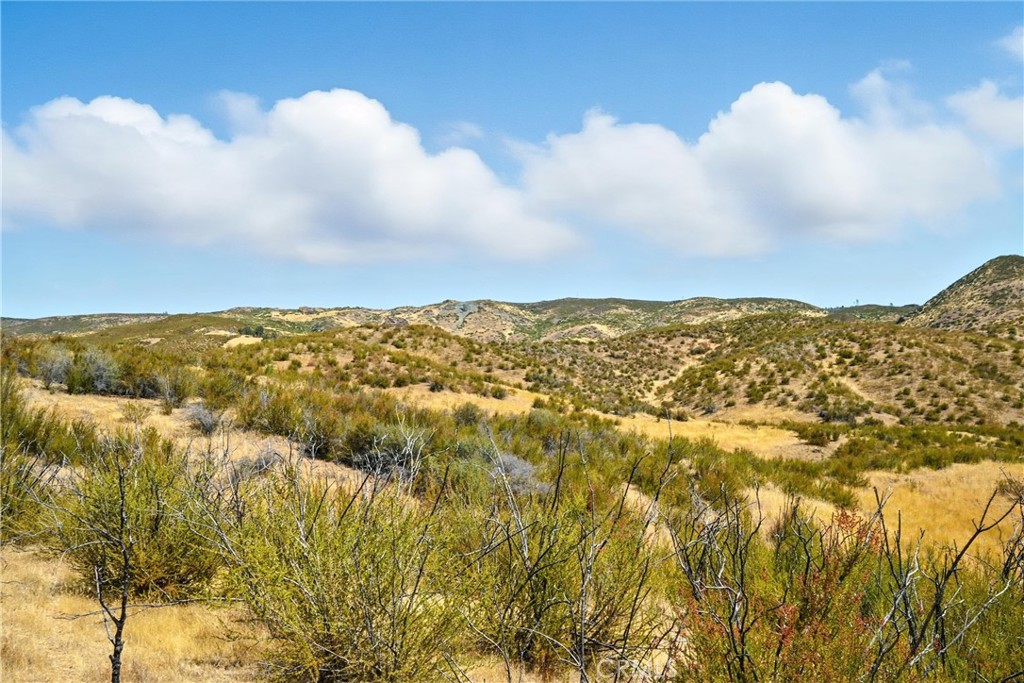 26648 Jerusalem Grade Property Photo 12