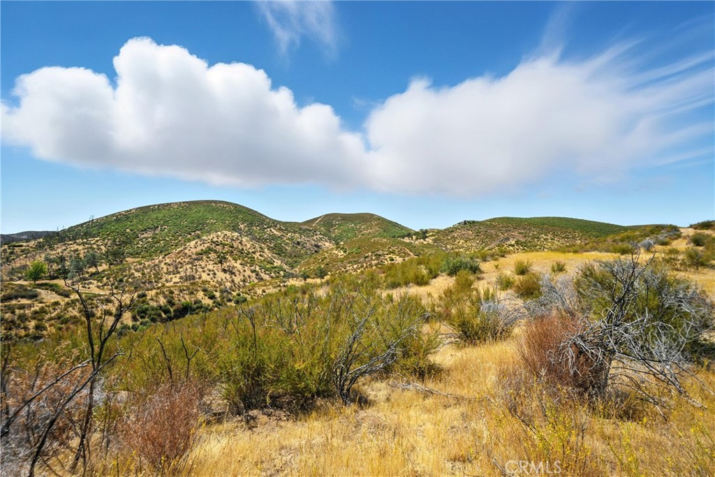 26648 Jerusalem Grade Property Photo 13