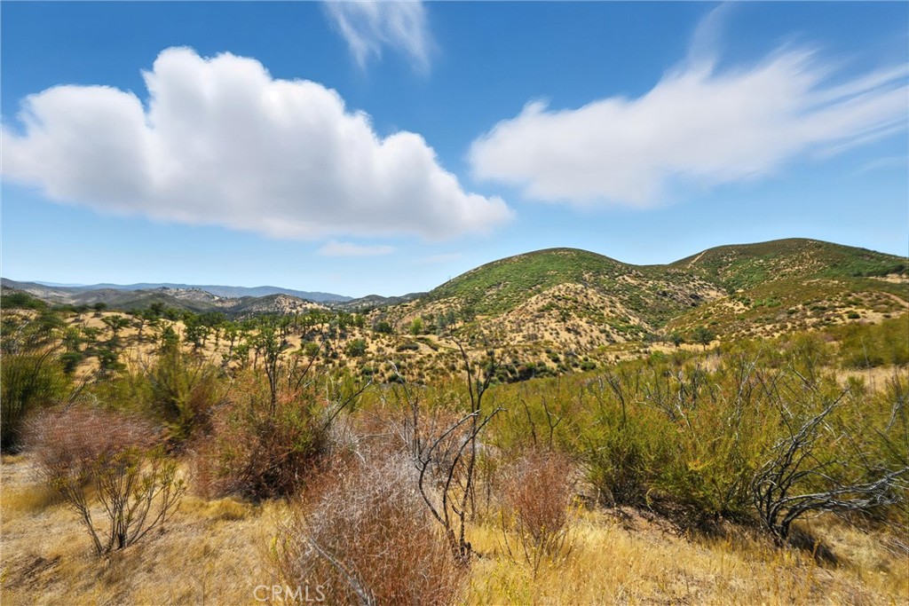 26648 Jerusalem Grade Property Photo 14