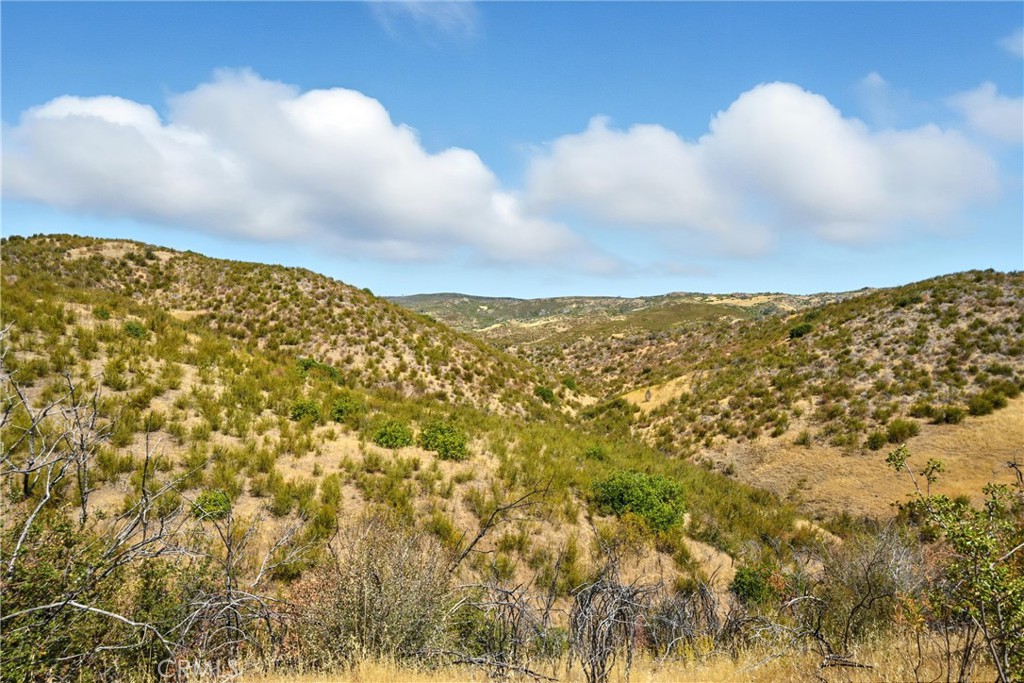 26648 Jerusalem Grade Property Photo 15