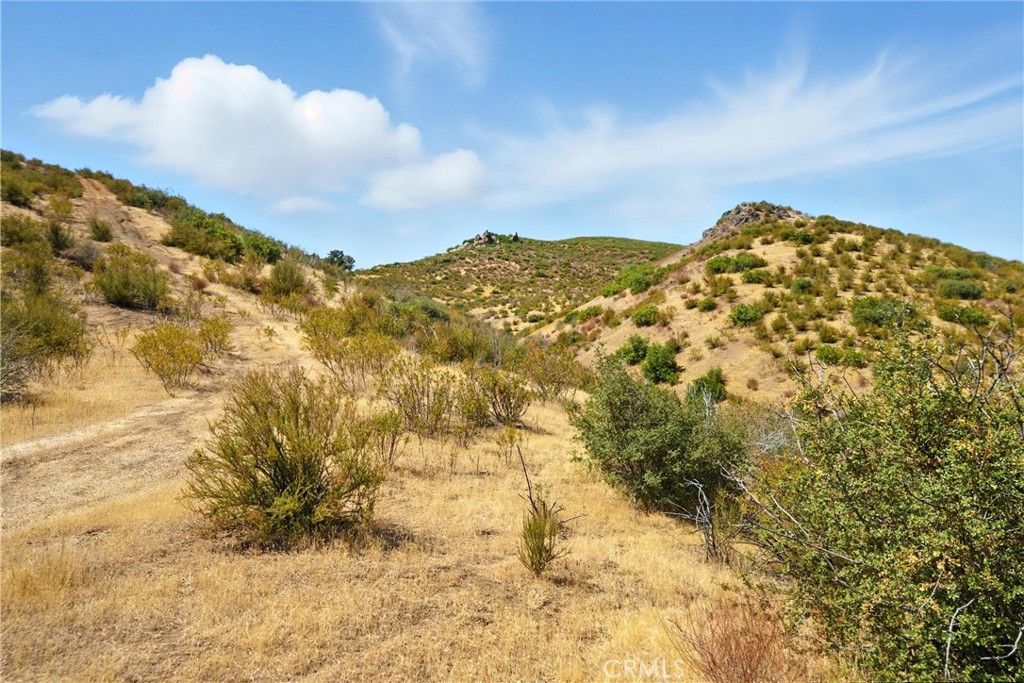 26648 Jerusalem Grade Property Photo 16