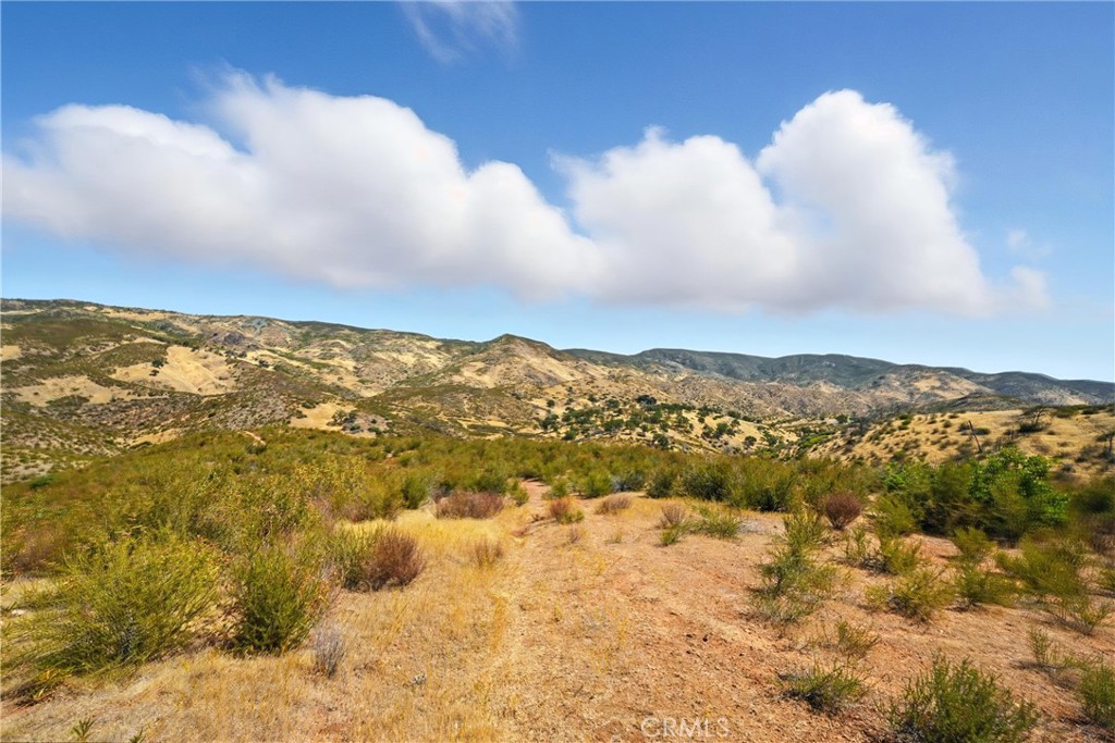 26648 Jerusalem Grade Property Photo 17