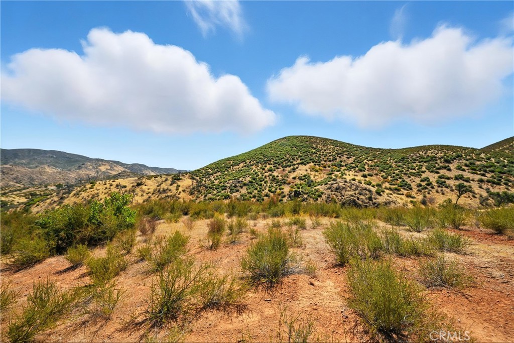 26648 Jerusalem Grade Property Photo 19