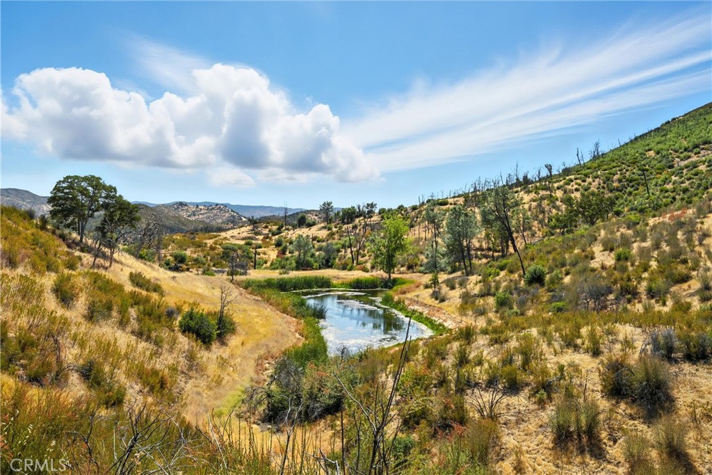 26648 Jerusalem Grade Property Photo 20