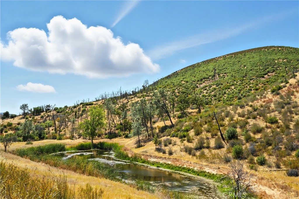 26648 Jerusalem Grade Property Photo 21