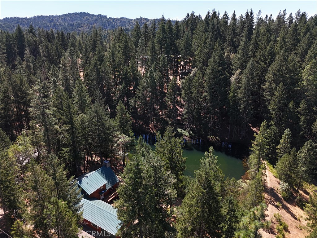4101 Chinquapin Drive Property Photo 41
