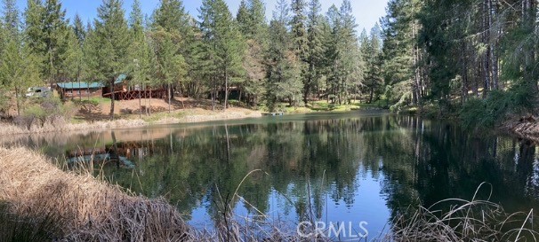 4101 Chinquapin Drive Property Photo 44