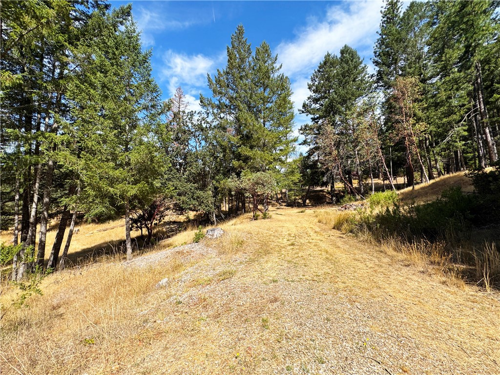 4101 Chinquapin Drive Property Photo 47