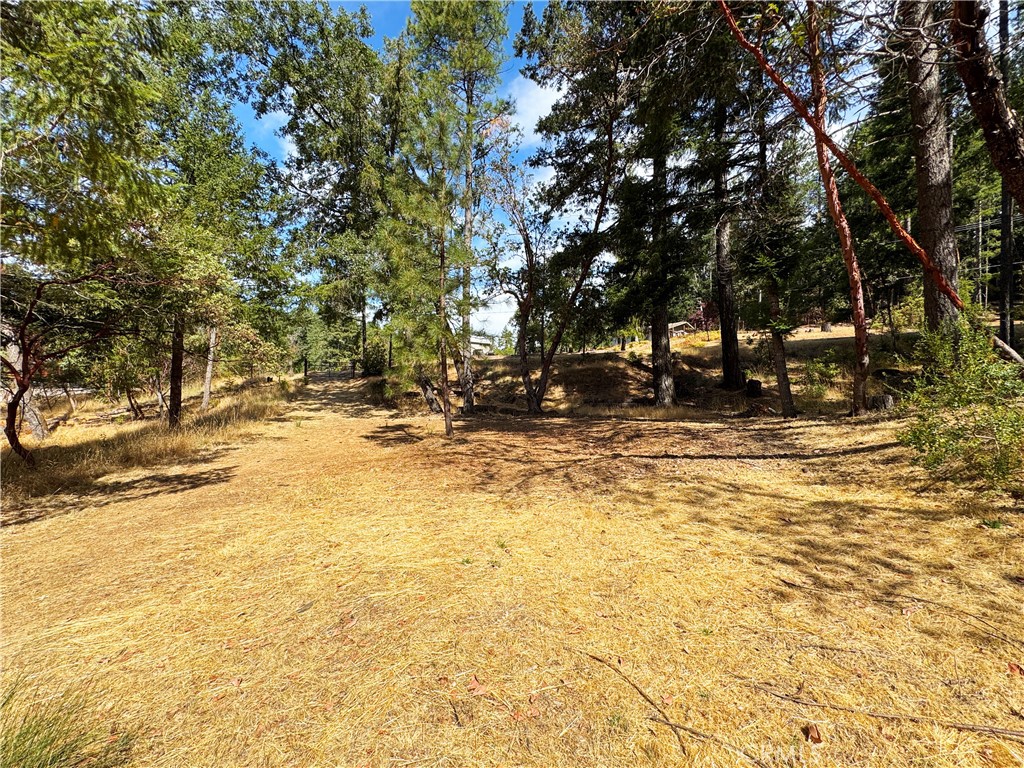 4101 Chinquapin Drive Property Photo 48