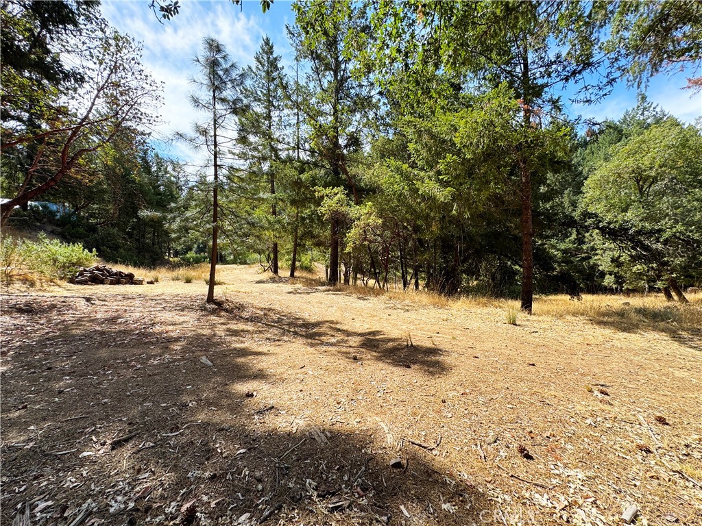 4101 Chinquapin Drive Property Photo 49