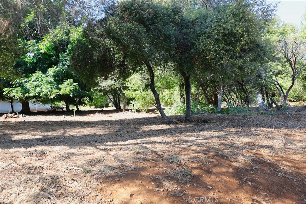 3407 Toyon Ct Property Photo 1
