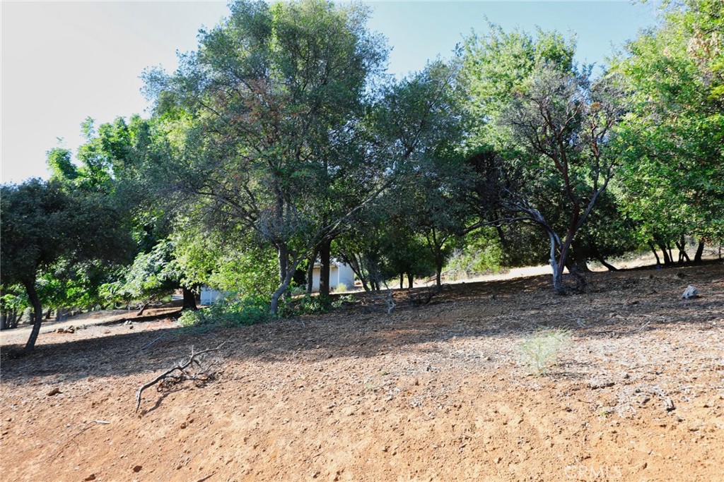 3407 Toyon Ct Property Photo 2