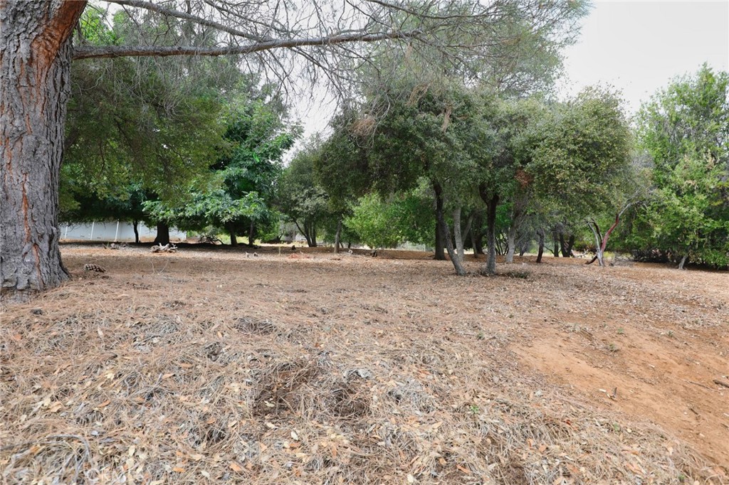 3407 Toyon Ct Property Photo 3