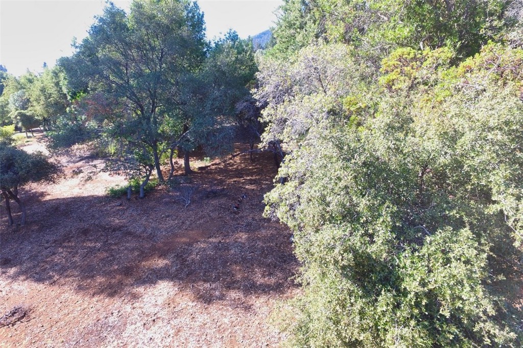 3407 Toyon Ct Property Photo 5