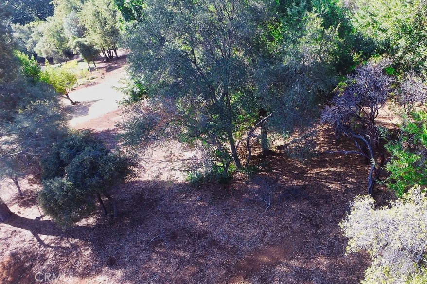 3407 Toyon Ct Property Photo 6