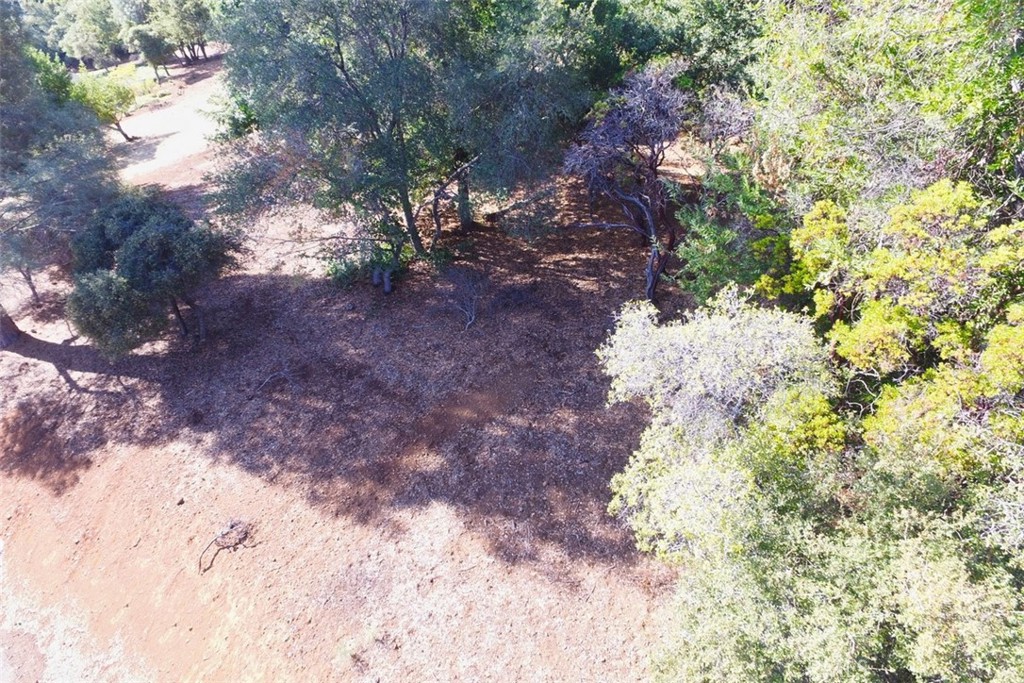 3407 Toyon Ct Property Photo 7