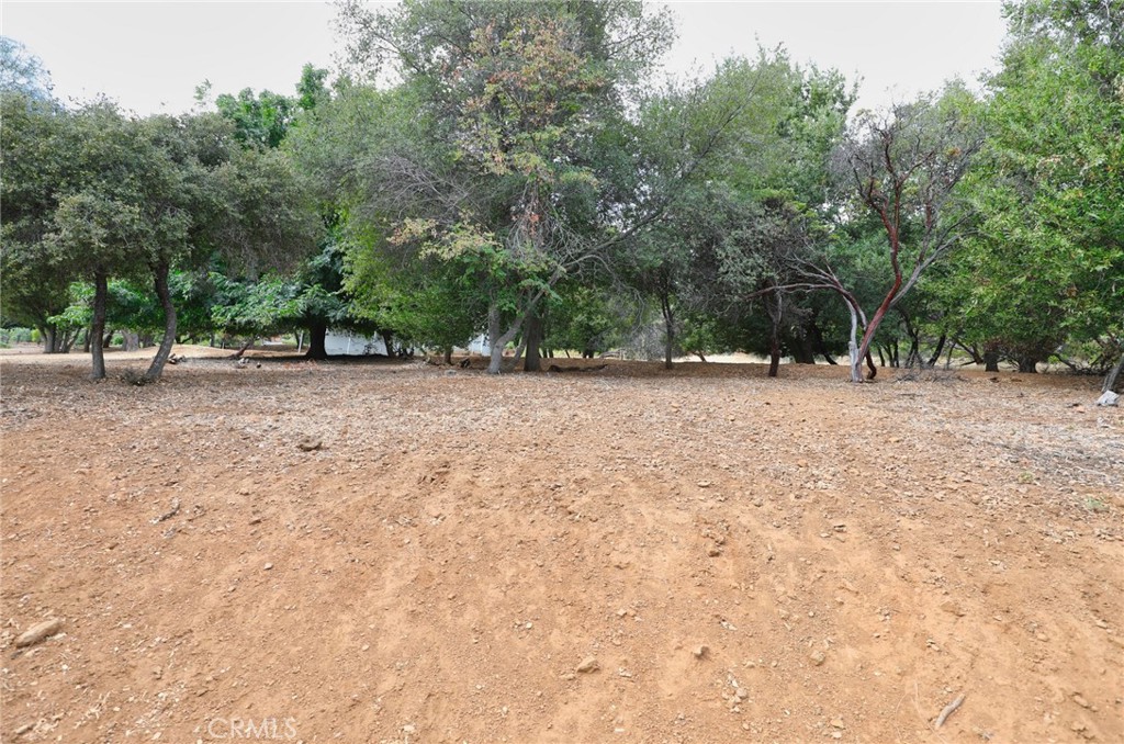 3407 Toyon Ct Property Photo 10