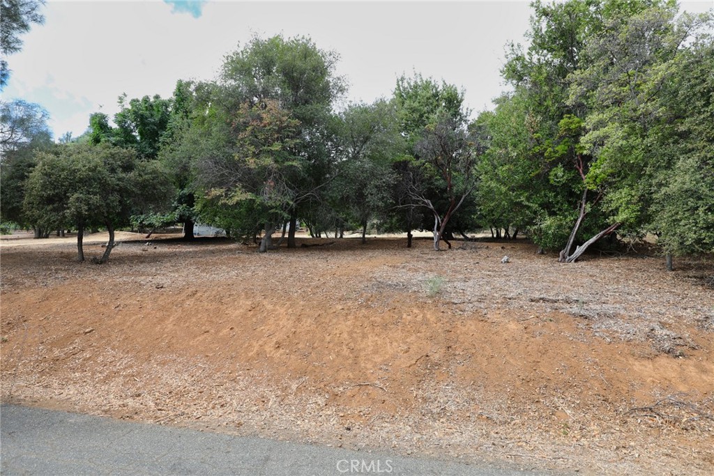 3407 Toyon Ct Property Photo 11
