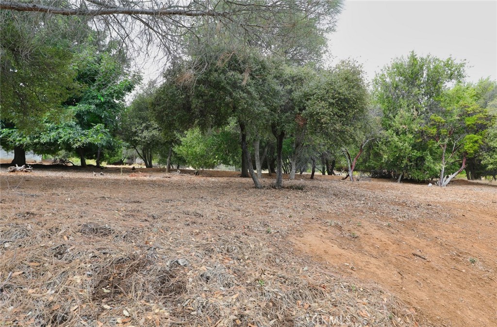 3407 Toyon Ct Property Photo 12