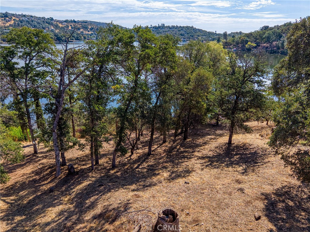 17200 Knollview Drive Property Photo 9