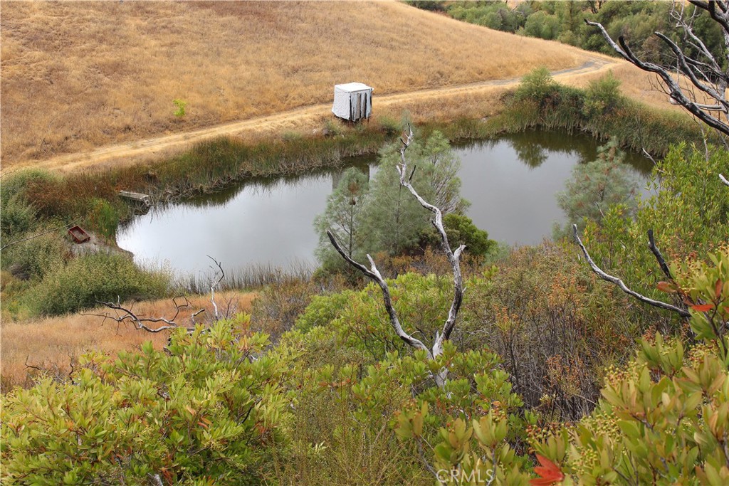 8740 Rocky Creek Rd Property Photo 3