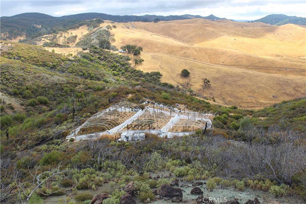 8740 Rocky Creek Rd Property Photo 4