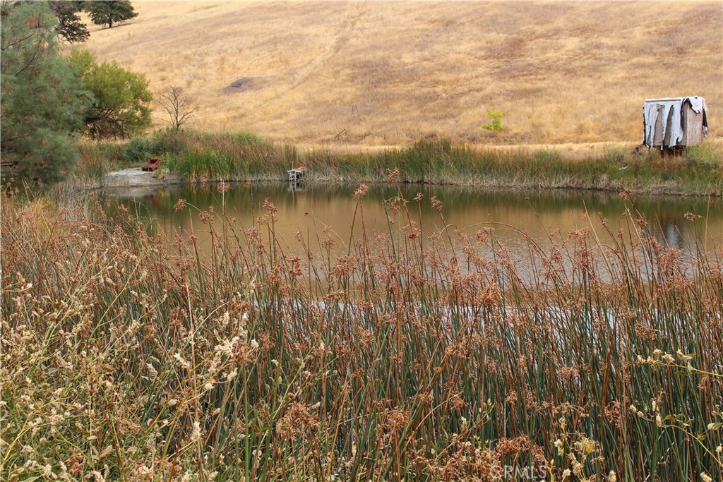8740 Rocky Creek Rd Property Photo 11