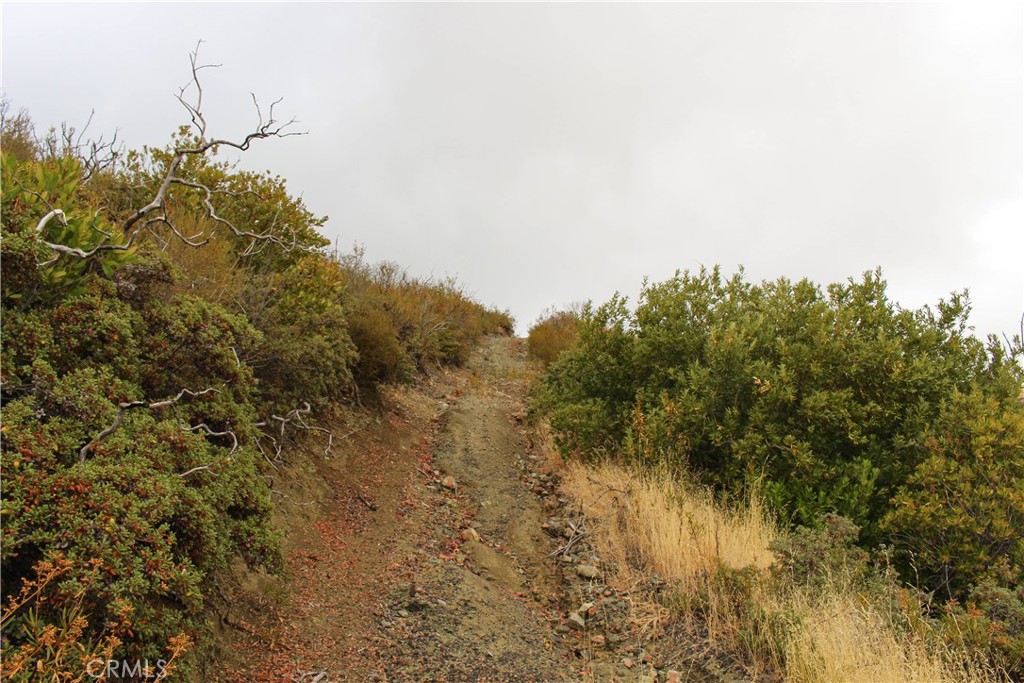 8740 Rocky Creek Rd Property Photo 15