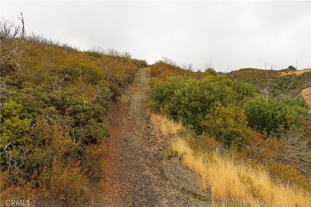 8740 Rocky Creek Rd Property Photo 16