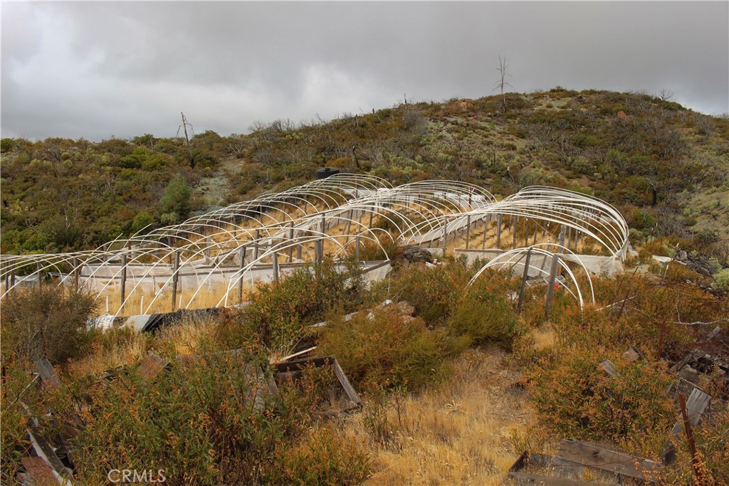 8740 Rocky Creek Rd Property Photo 18
