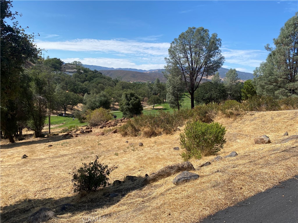 20169 Powder Horn Property Photo 1