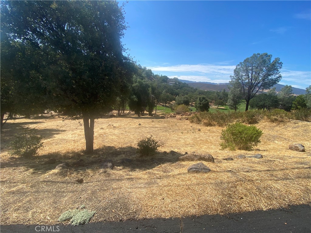 20169 Powder Horn Property Photo 3