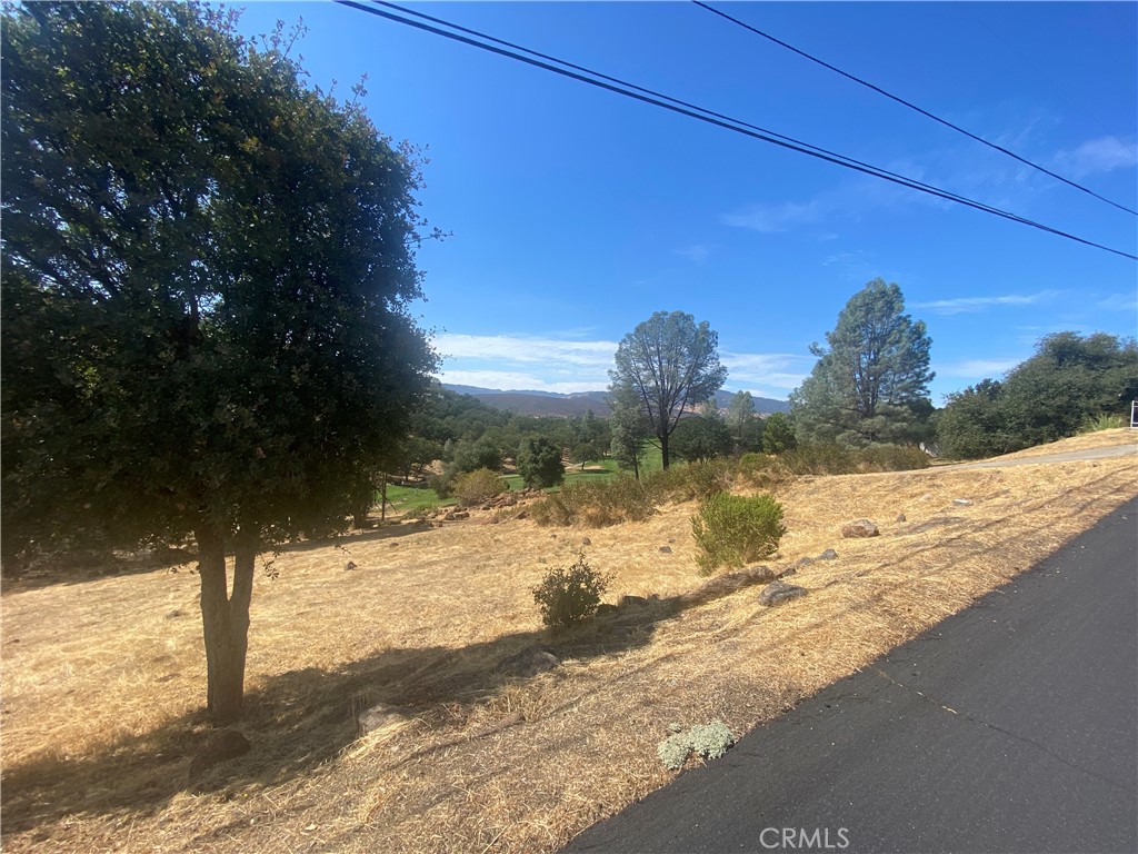 20169 Powder Horn Property Photo 4