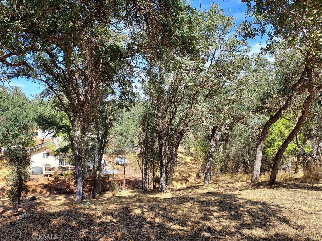 16258 35th Property Photo 1