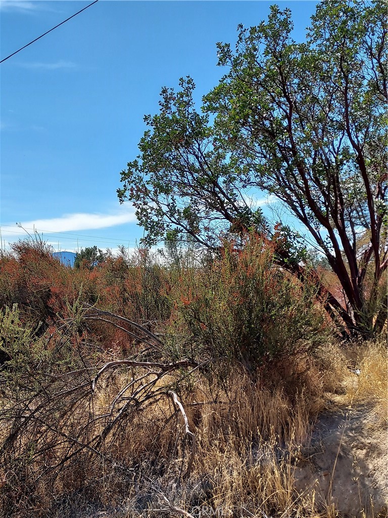 16301 11th Avenue Property Photo 1