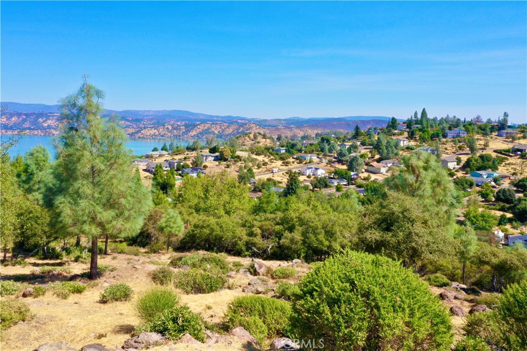 9836 Pinon Way Property Photo 4