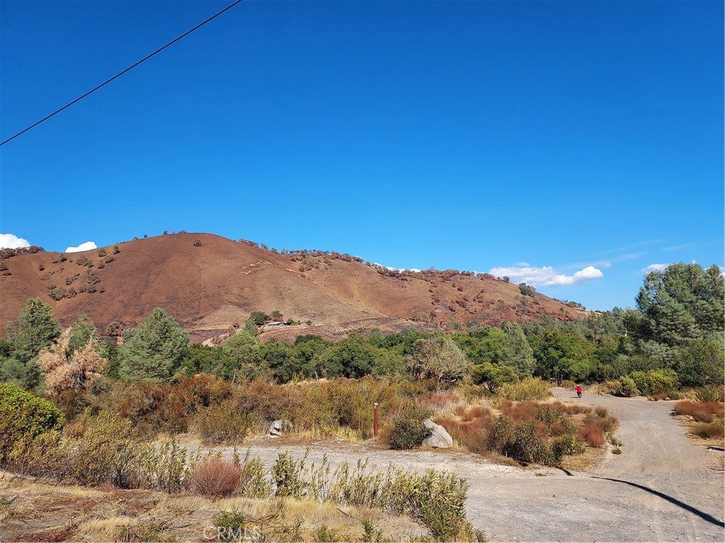 3457 Oleander Street Property Photo 1
