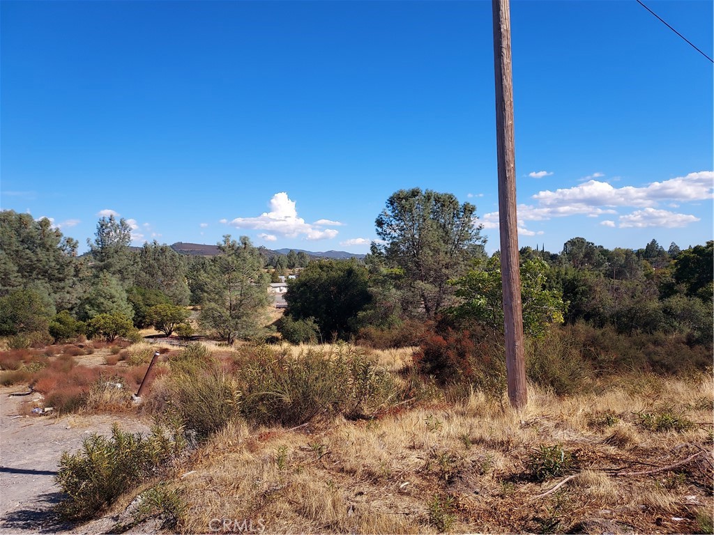 3457 Oleander Street Property Photo 4