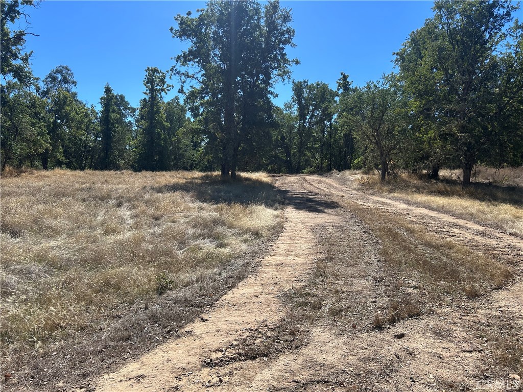 1000 Eva Way Property Photo 1