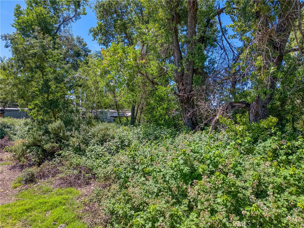5905 E Highway 20 Property Photo 6