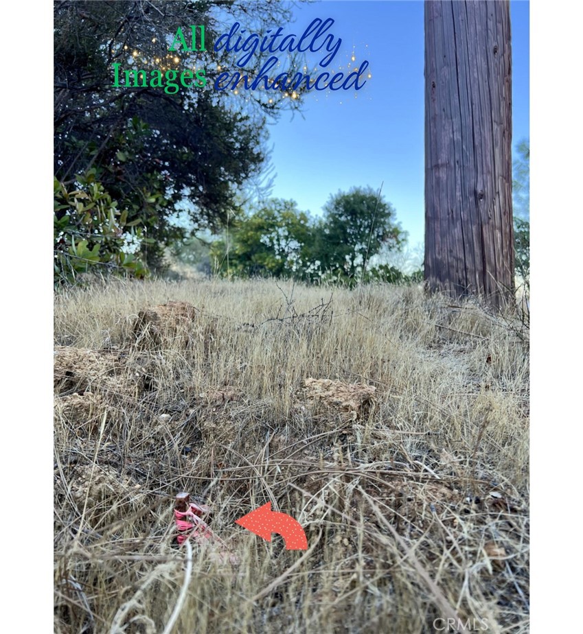 12230 Cerrito Drive Property Photo 4