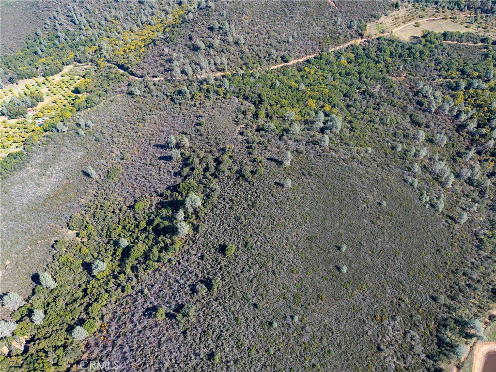 5955 Konocti Road Property Photo 11