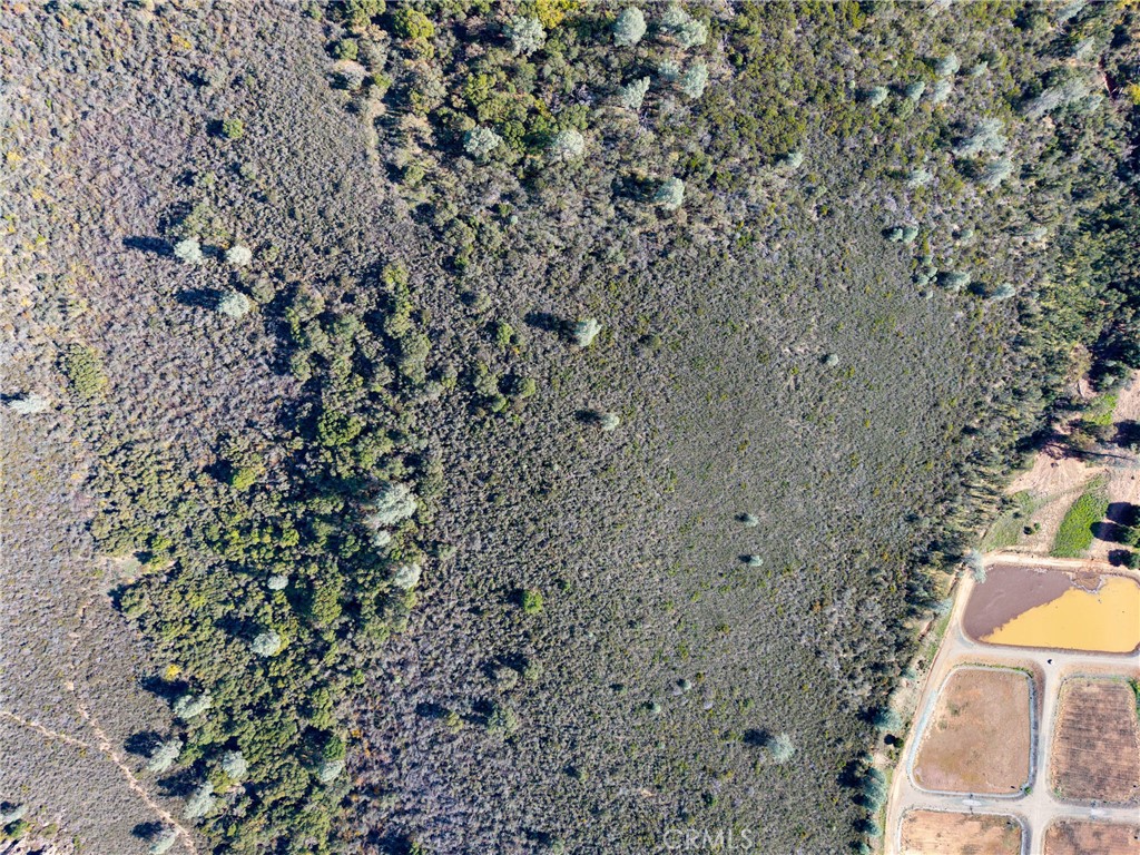 5955 Konocti Road Property Photo 12
