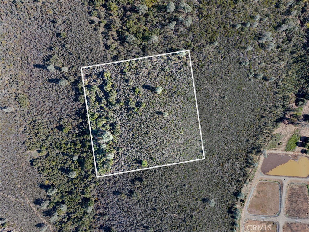 5955 Konocti Road Property Photo 14