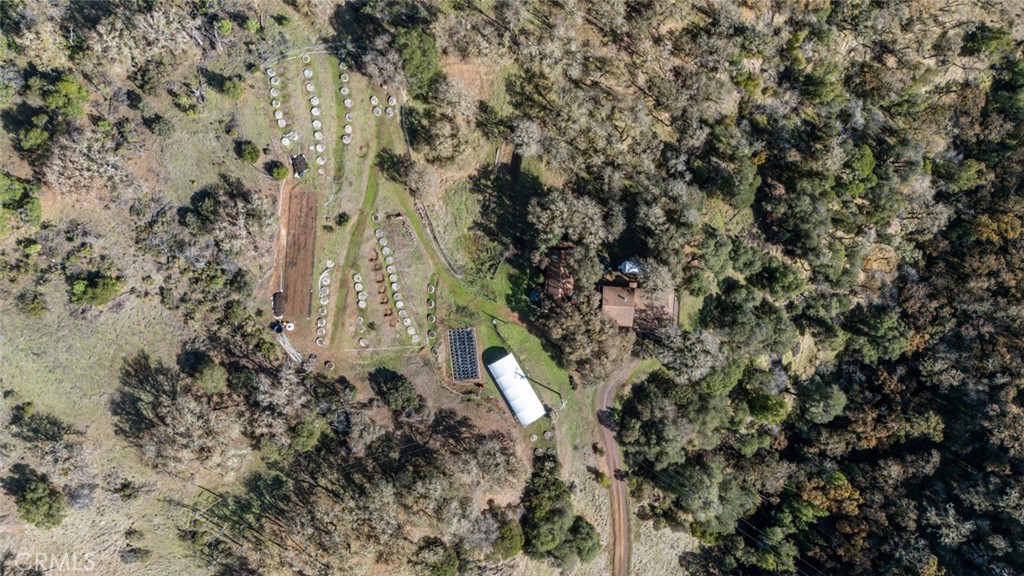 8500 Black Bart Property Photo 17