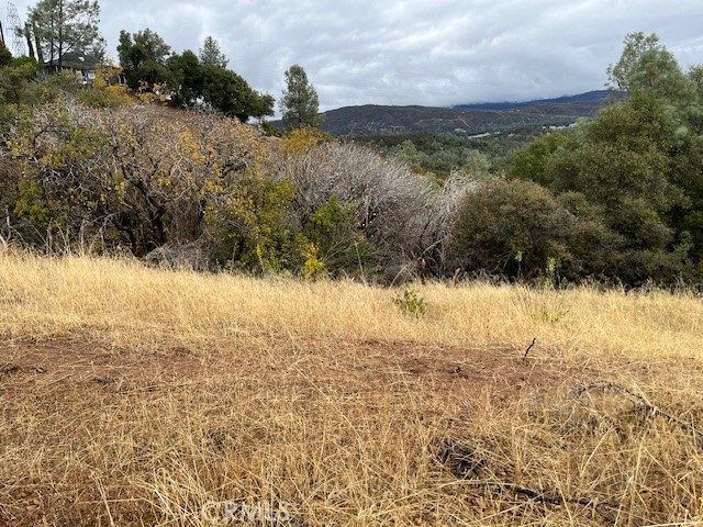 12170 Cerrito Property Photo 2