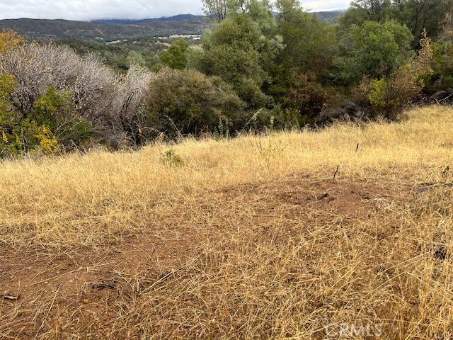 12170 Cerrito Property Photo 3
