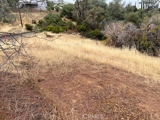 12170 Cerrito Property Photo 4